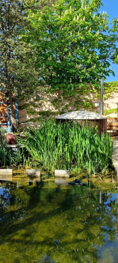 Country house Viento De Ladera Piscina Natural Y Jacuzzi Ext